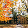Brainstorming Ideas: A Comprehensive Guide for UK University Admissions